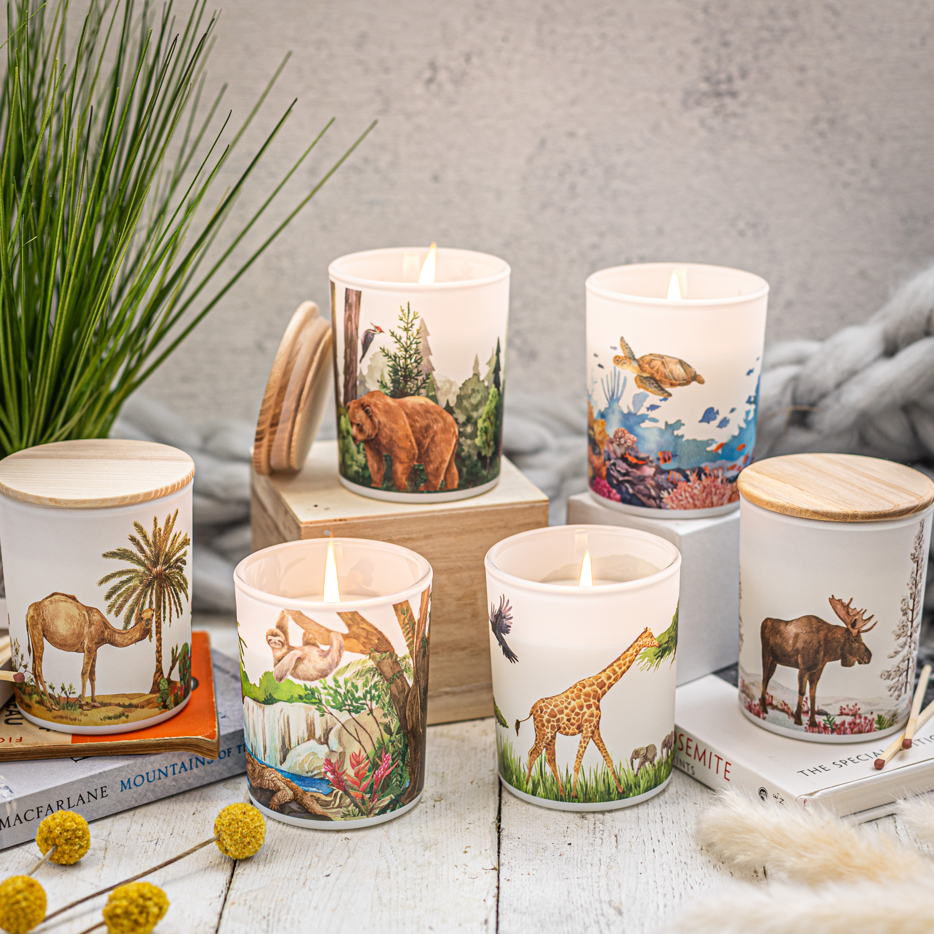 Save The Planet Scented Soy Wax Candle: Purifying Forest