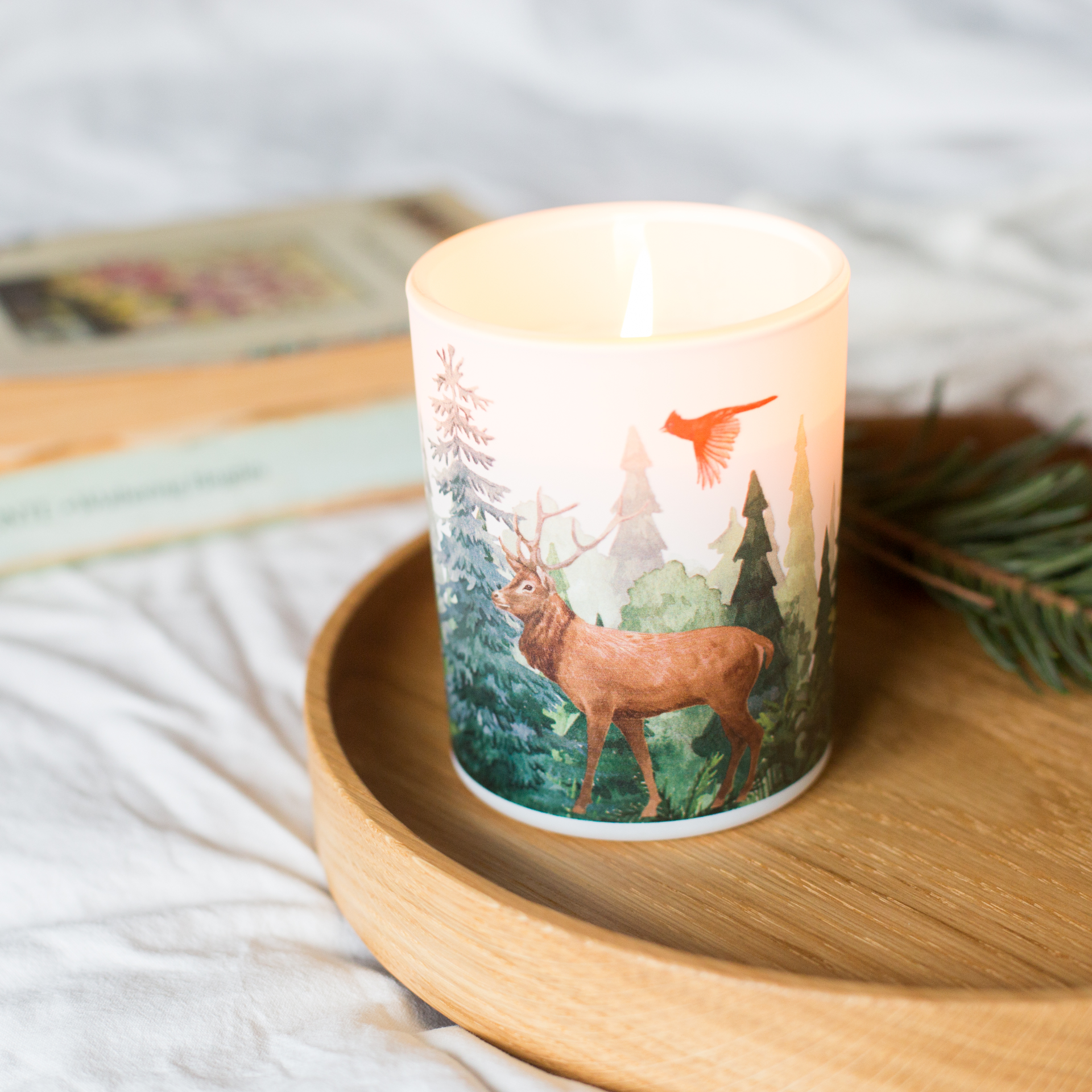 Save The Planet Scented Soy Wax Candle: Purifying Forest
