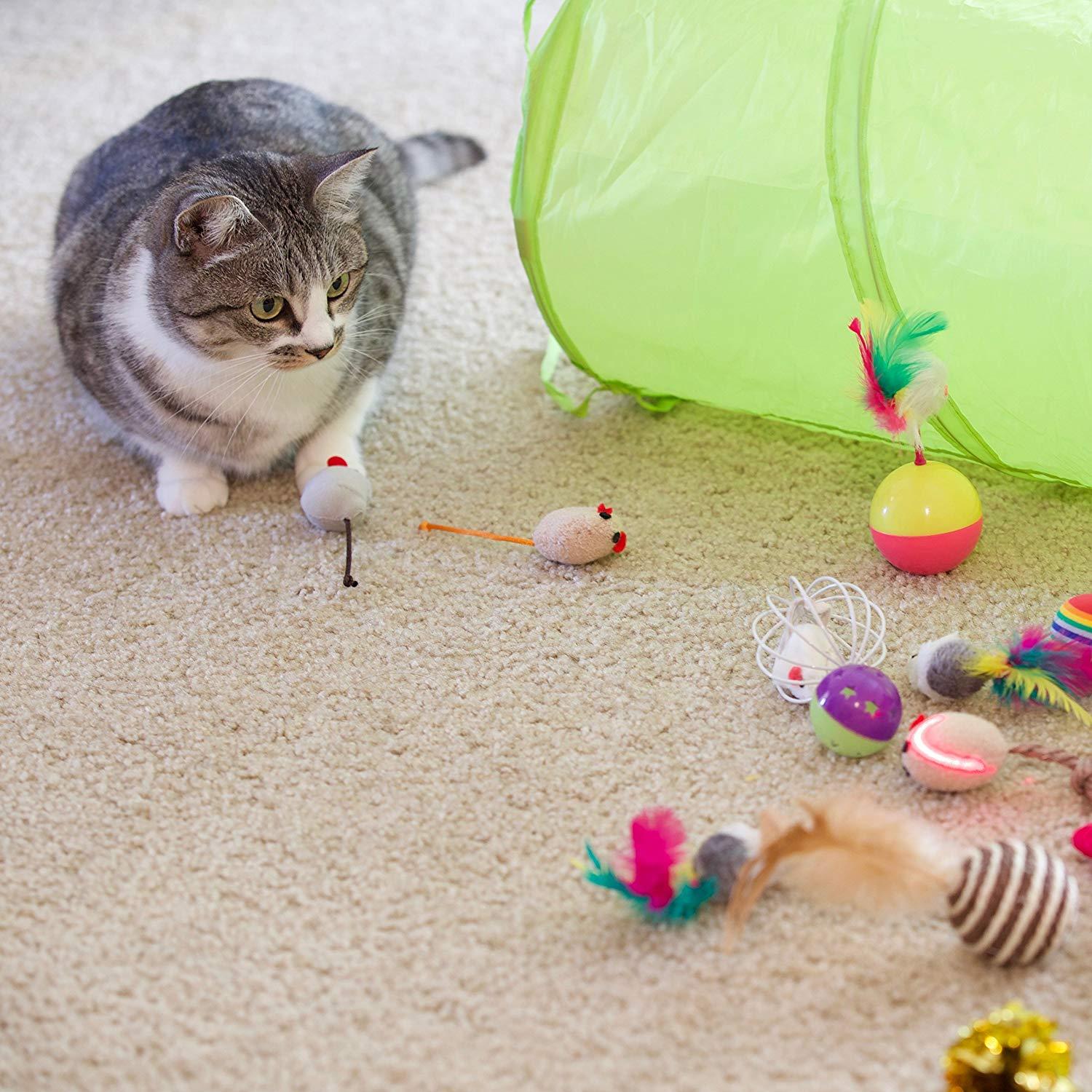 Cat Toys