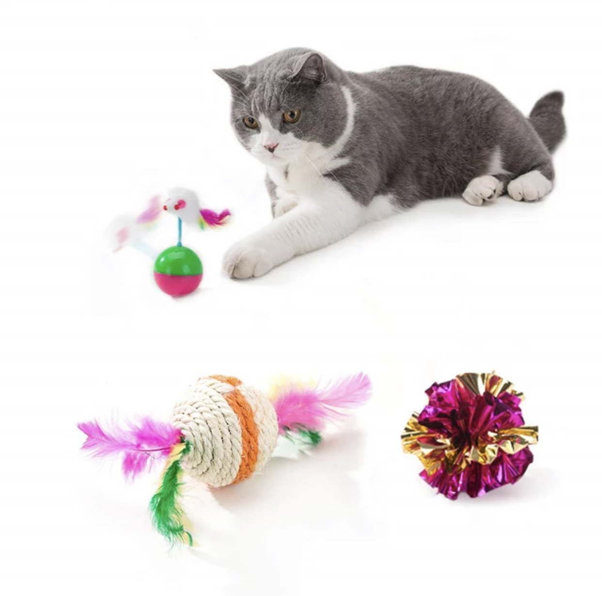 Cat Toys