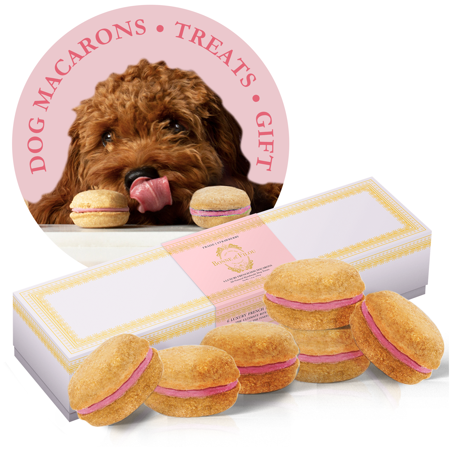 Dog Macarons (Box of 6)