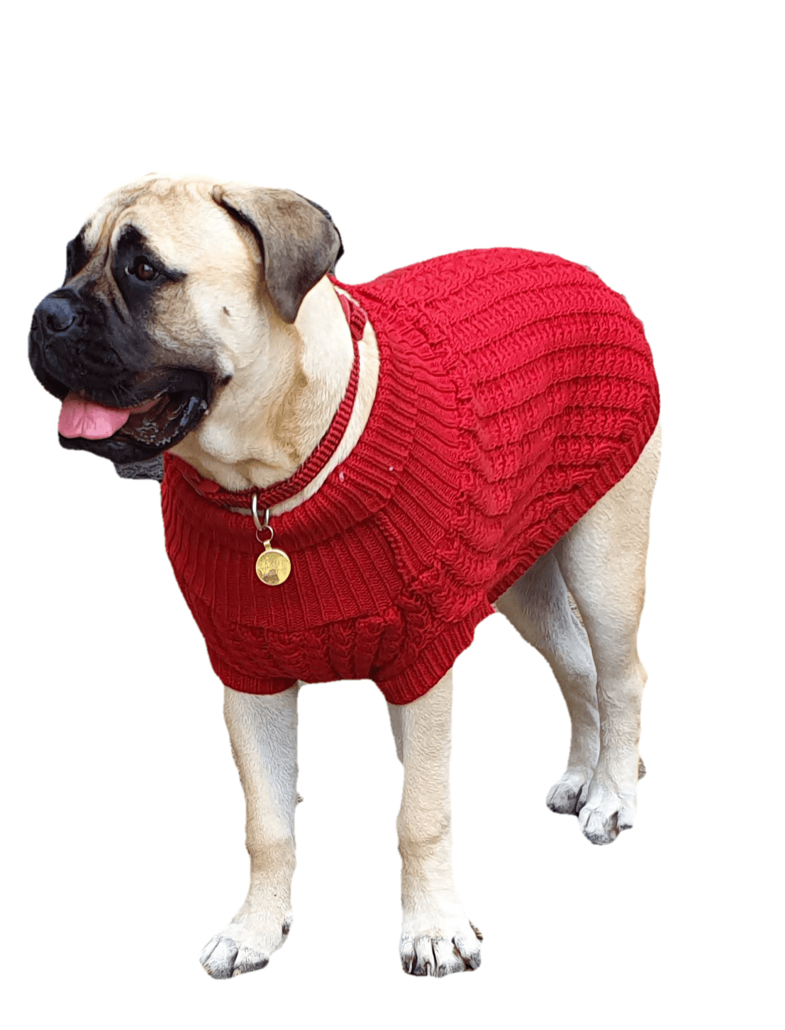 The Chunk Dog Jumper in Red