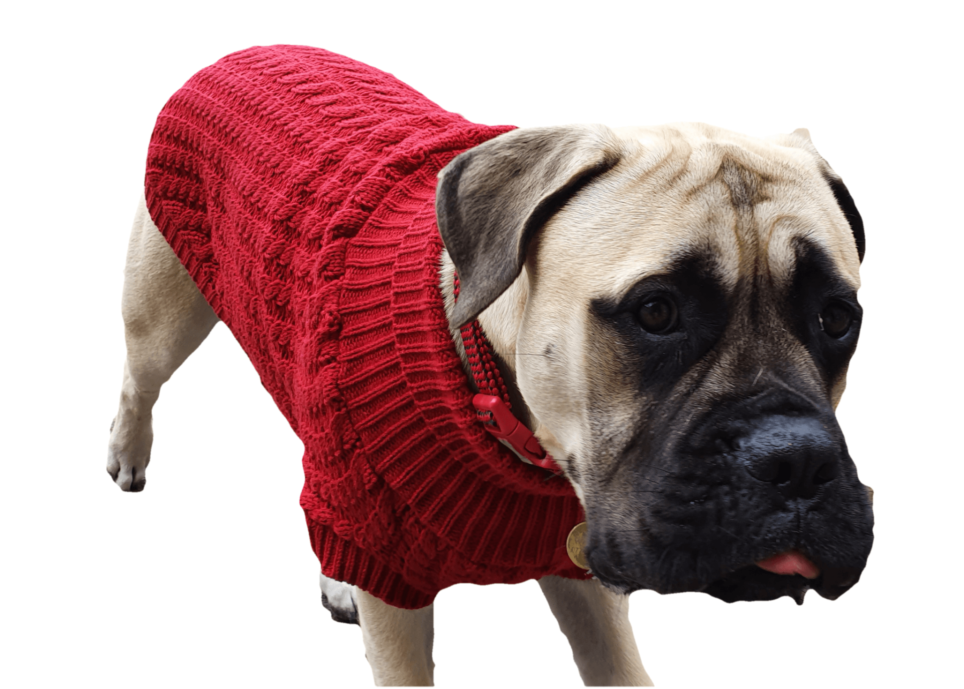 The Chunk Dog Jumper in Red