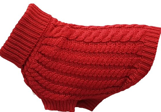 The Chunk Dog Jumper in Red