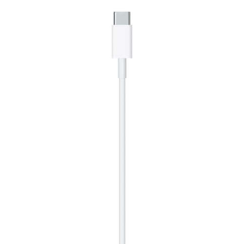 Apple Type C to Lightning Cable (1m)