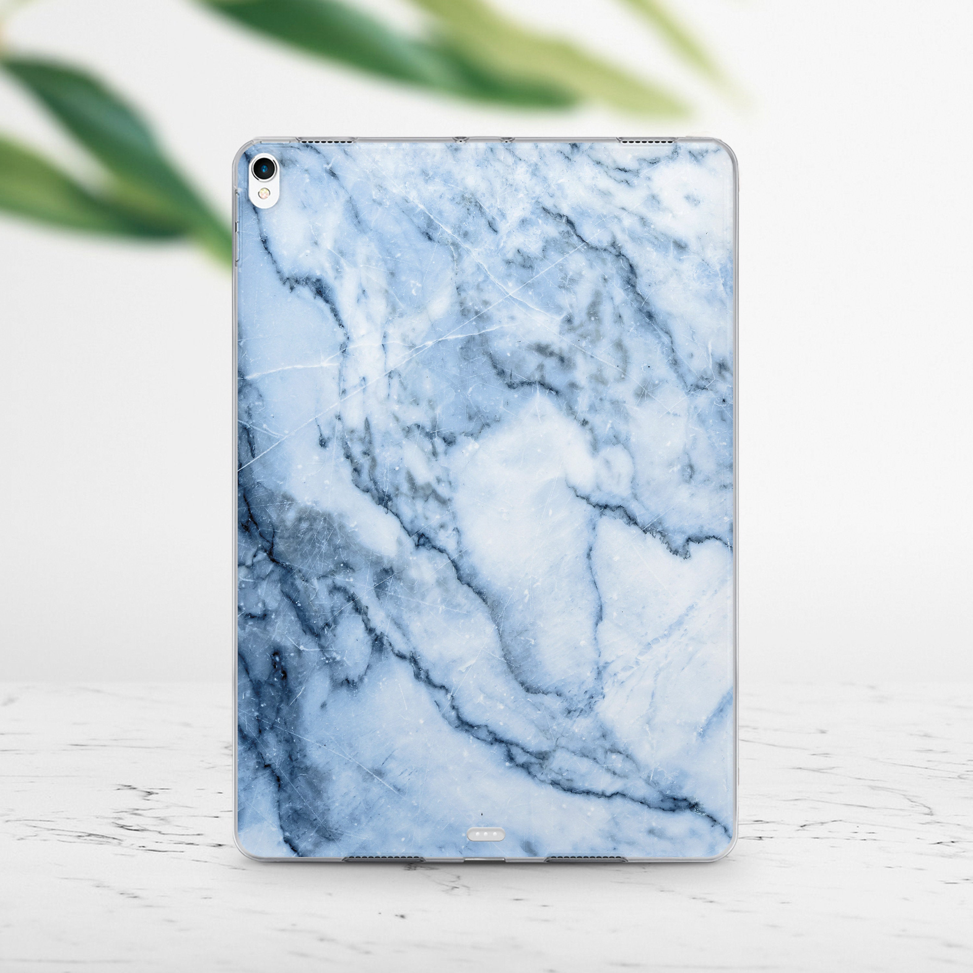 iPad Back Case (FD0125)